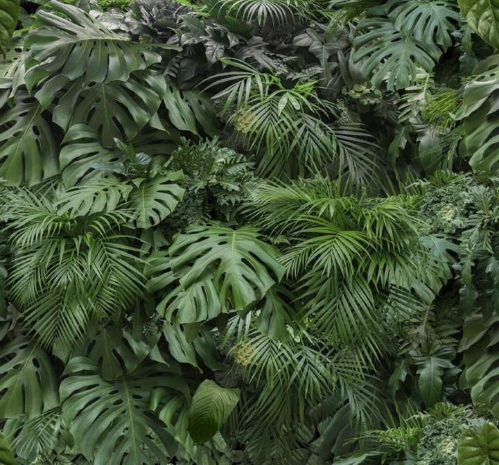 Art for the Home PHOTOMURAL 119594 RAINFOREST