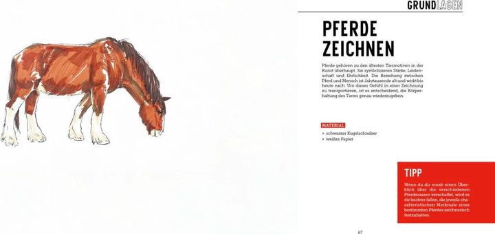 Produktbild Tiere zeichnen (2 Bücher im Bundle)