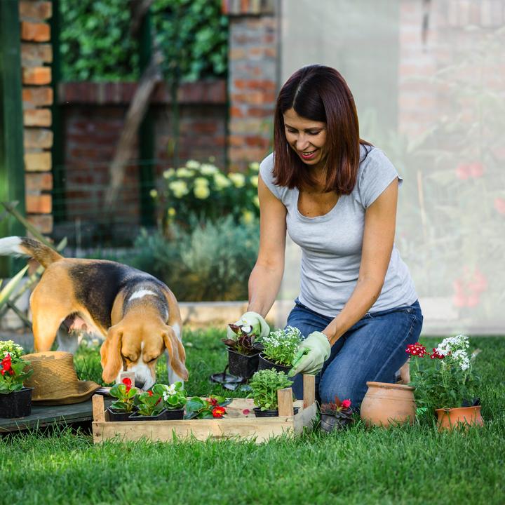 Image du produit Relaxdays Serre de tomates