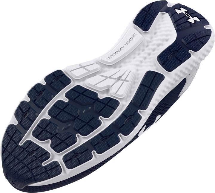 Productafbeelding Under Armour Opgeladen Rogue 3 (45.5)