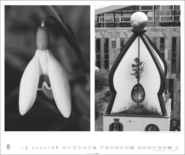 Produktbild Natur : Architektur Kalender 2026 (55 x 46 cm, Deutsch)