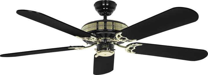 CasaFan Black Magic (31 dB)