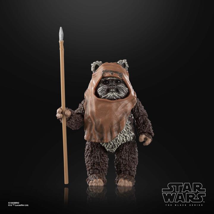 Actual product image Hasbro Star Wars Episode VI Black Series figurine Wicket 15 cm