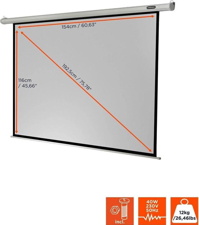 Actual product image Celexon Motor Economy, Canvas, 4:3 (78.74", 4:3)