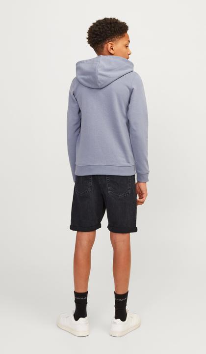 Actual product image Jack & Jones Jjichris Jjoriginal Shorts Am 600 Jnr (164)