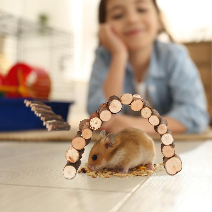 Actual product image Relaxdays 2x rodent bridge