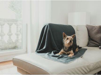 Image du produit Hunter Couverture pour chien Casper (Chien)
