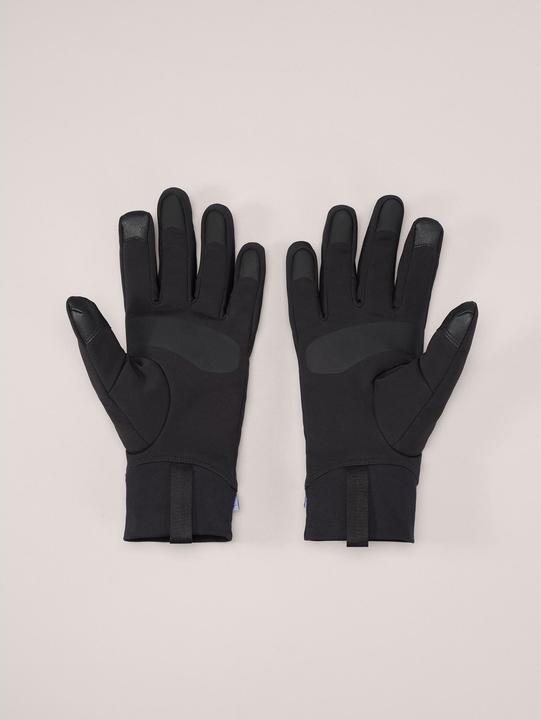 Image du produit Arc'teryx Gant Venta (L)