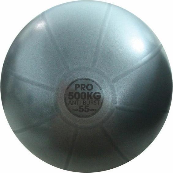 Immagine prodotto Fitness Mad Studio Pro Palla Svizzera (55 cm)