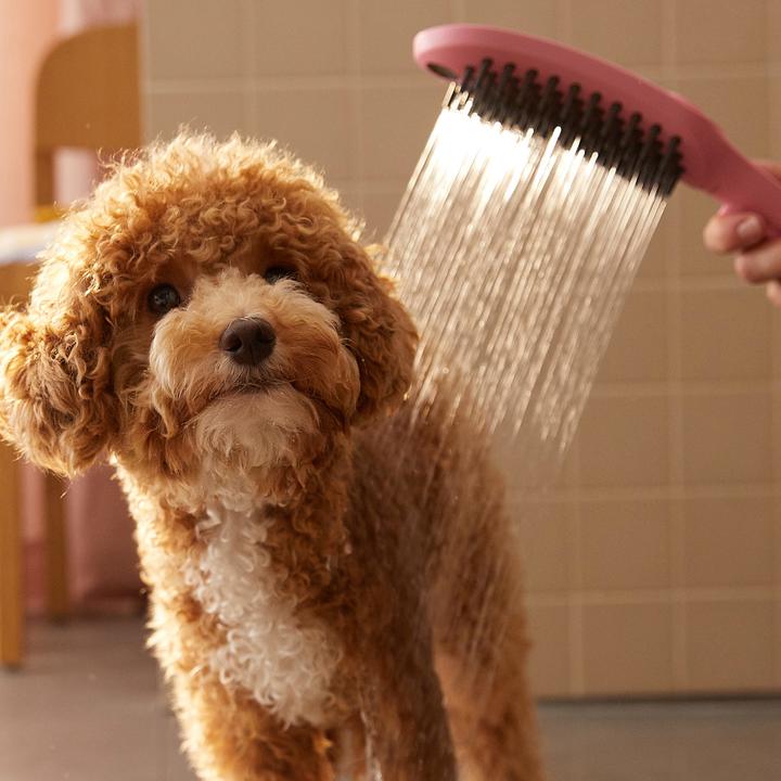 Image du produit hansgrohe Douche pour chien DogShower 150 (3 jets) (3 Types de jets, 7.60 l/min)