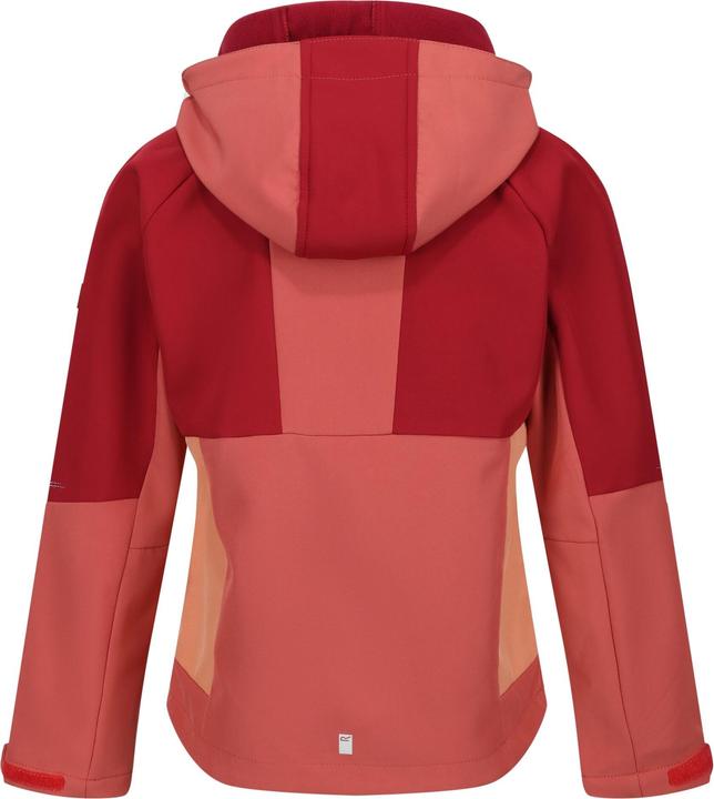 Produktbild Regatta Haydenbury Softshelljacke (116)