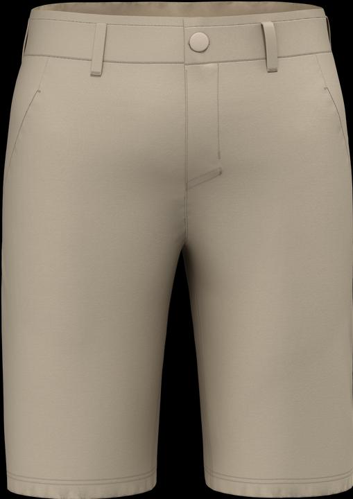 Actual product image Salewa Fanes Light Shorts (54)
