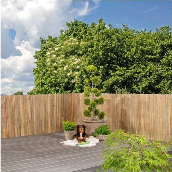 Actual product image Windhager Mitake (300 cm)
