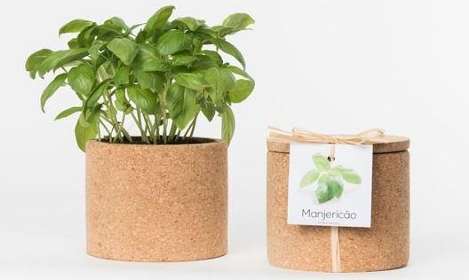 Produktbild Jamei Grow Cork Pot Basilikum (Kräutersamen)