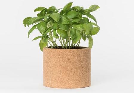 Produktbild Jamei Grow Cork Pot Basilikum (Kräutersamen)