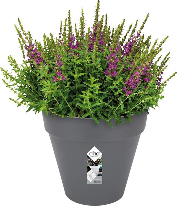 Produktbild Elho Loft Urban (24.50 cm)