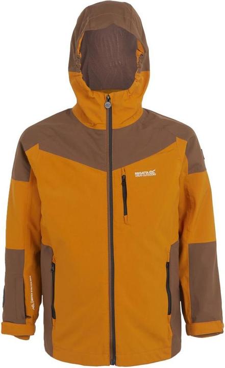 Marron, BG renard marron