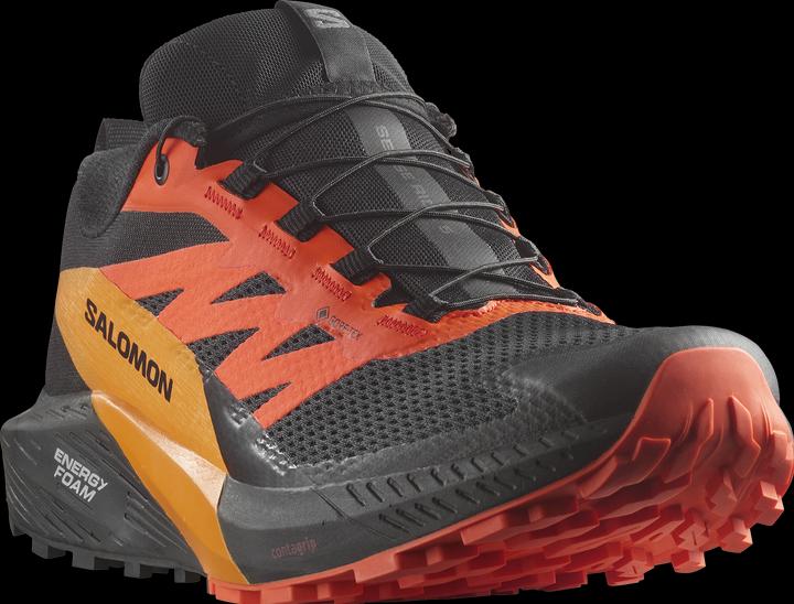 Produktbild Salomon Sense Ride 5 GTX Herren Trailrunningschuhe (45)