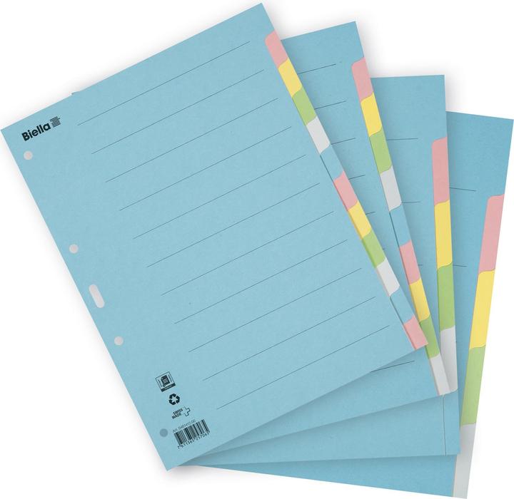 Actual product image Biella Cardboard tab