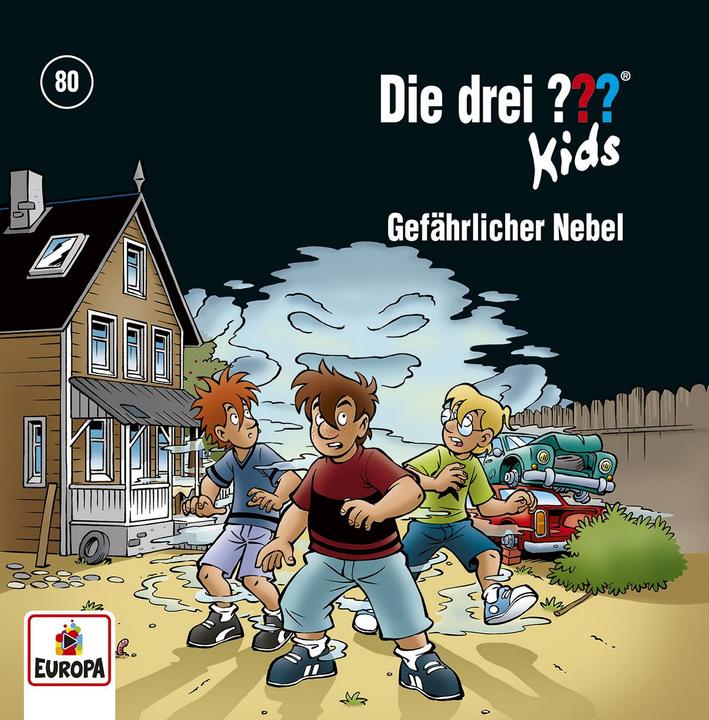Image du produit Les trois TROIS QUESTIONS kids 80 - Brouillard dangereux