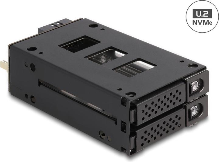 Delock 47019 - Wechselrahmen für 2x 2.5 U.2 NVMe SSD Slim Bay