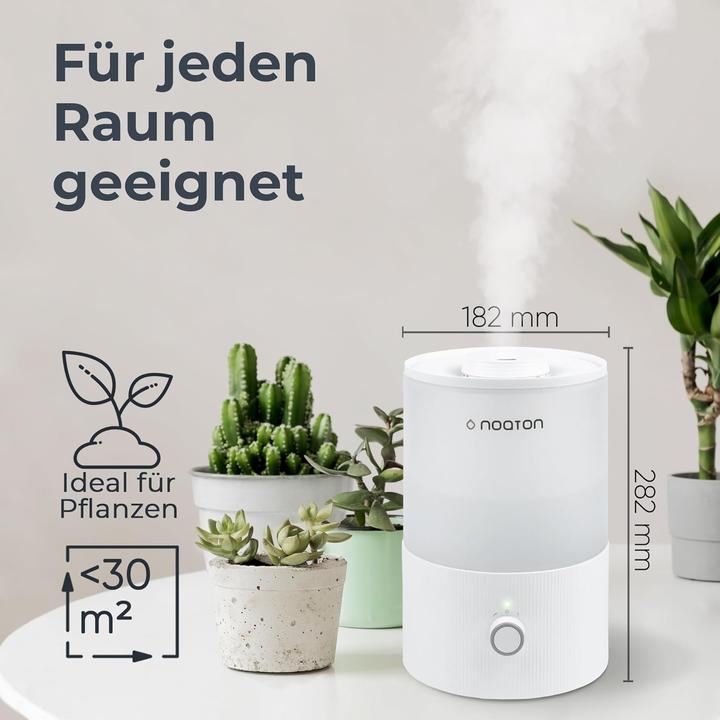 Actual product image Noaton Essential Luftbefeuchter (30 m²)