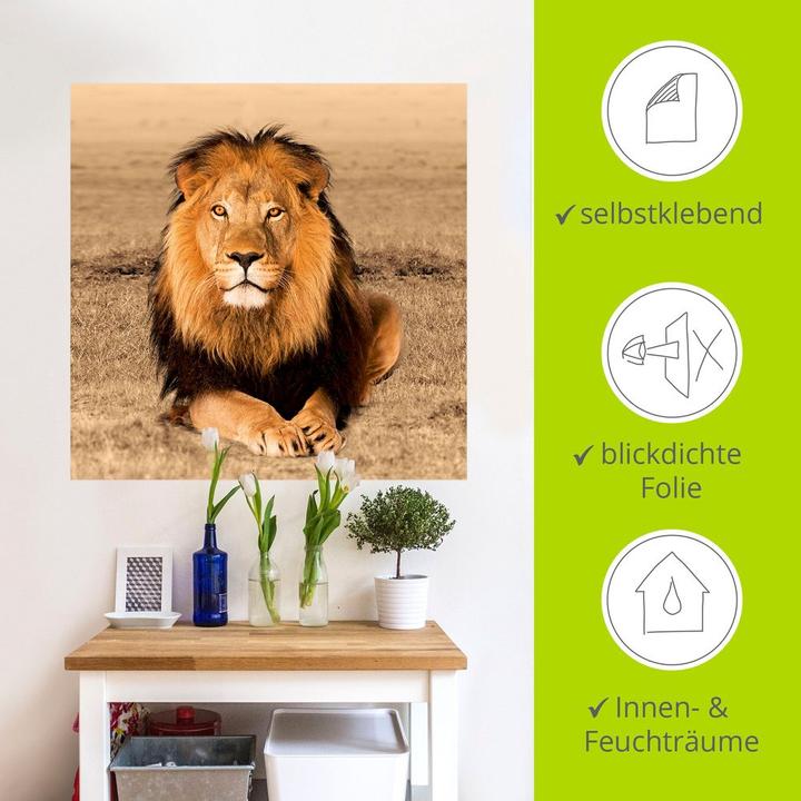 Produktbild Artland Löwe T5RJ (50x50 cm)
