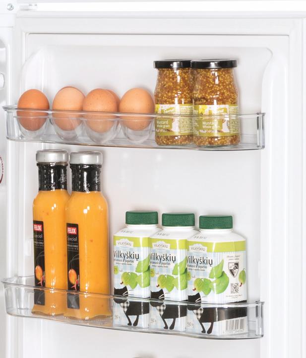 Actual product image Snaige FR24SM-PRDL0E (209 l)