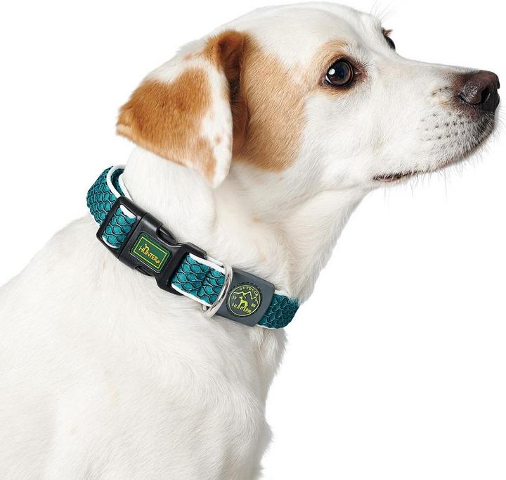 Image du produit Hunter Collier pour chien Hilo Vario Basic (S, M, Chien)