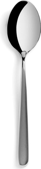 Actual product image Revol Courchevel table spoon stainless steel matt (Cutlery set)