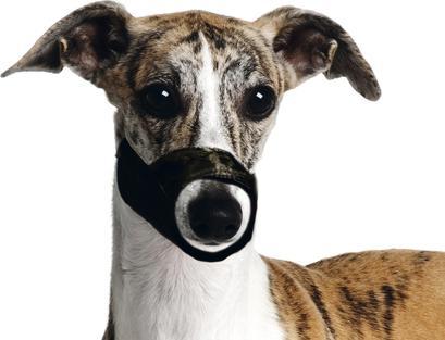 Actual product image Karlie Muzzle (XS, Dog, Walks)