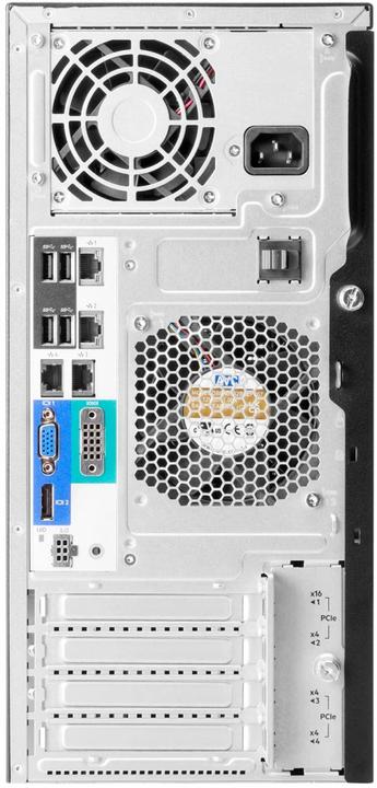 Productafbeelding HPE ML30 Gen11 E-2434 1P 16G 8SFF Svr (Intel Xeon E-2434, 16 GB, Torenserver)