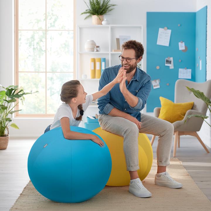 Actual product image Leitz Ergo Cosy Active sitting ball (65 cm)