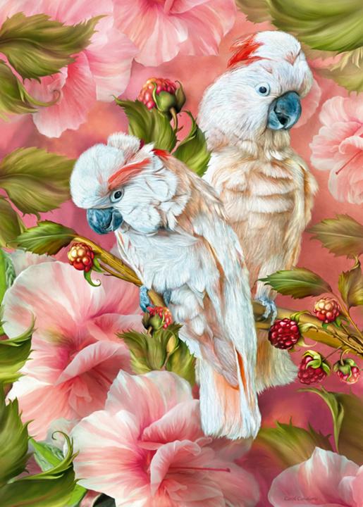 Immagine prodotto Cherry Pazzi Puzzle Kakadu - Spiriti dei tropici 1000 pezzi (1000 pezzi)