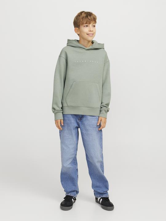 Produktbild Jack & Jones Jjestar Jj Sweat Hood Noos Jnr (176)