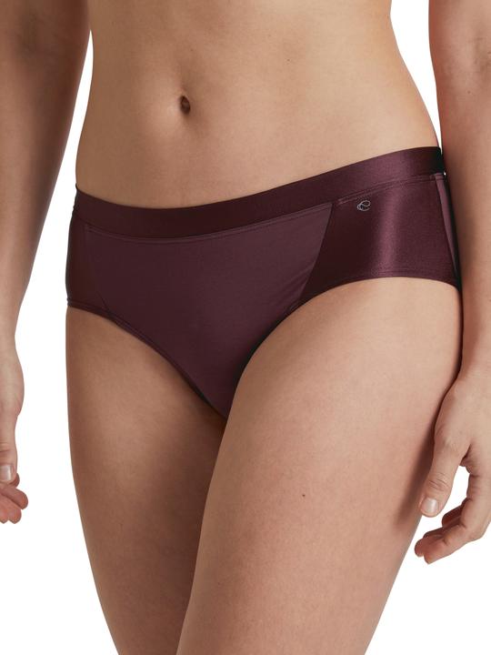 Image du produit Calida Cate (XS, Une unité par pack)