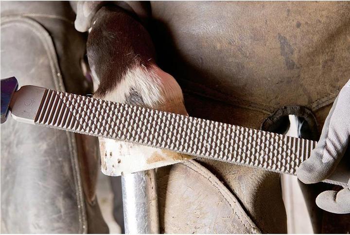 Produktbild Pferd Feilenheft FH6/1 für Hufhobel & Hufraspel ergonomische auf Anwendung abgestimmte Form Länge 106 mm (106 mm)