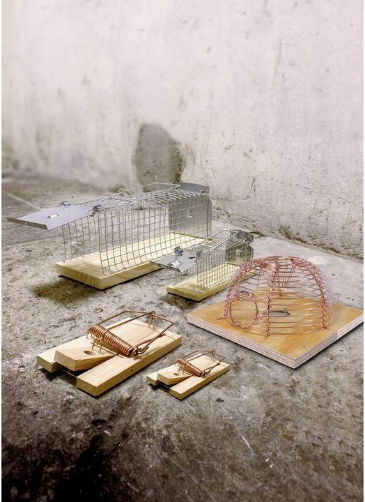 Produktbild Swissinno Lebendfalle Rat Classic 1 St.