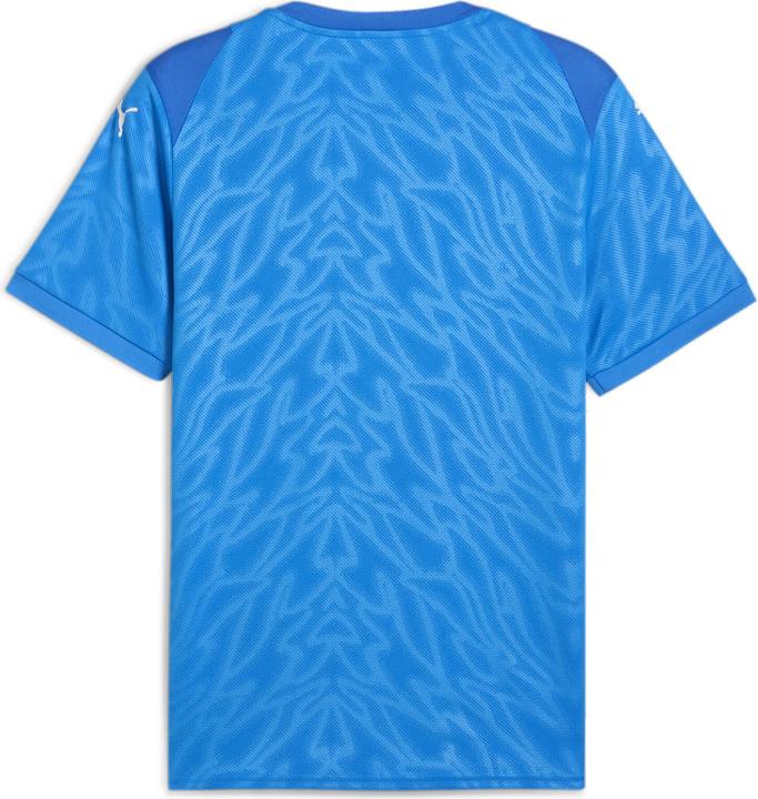 Image du produit Puma teamCUP Jersey (XL)