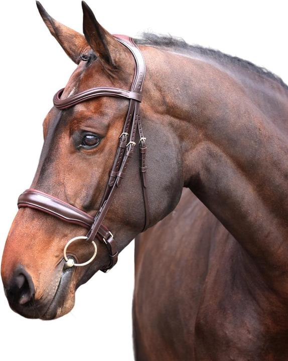 Velociti CavessonZaum Elite Leder