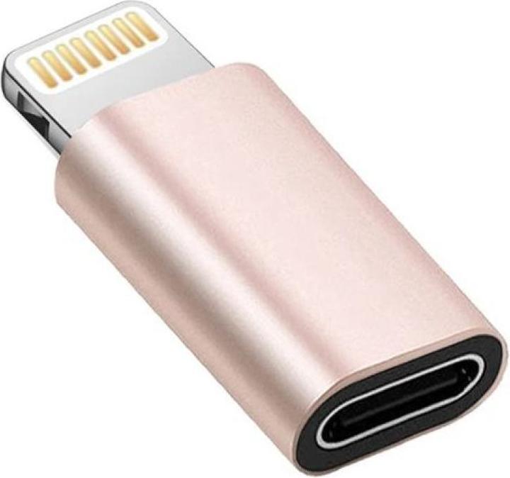 Actual product image PowerGuard Lightning to USB-C mini adapter converter (Lightning, USB Type C)