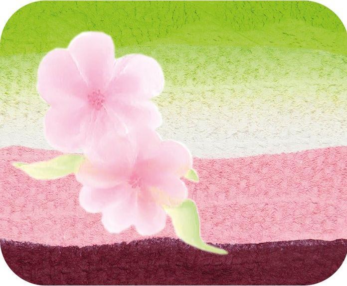Actual product image Eulenspiegel Split Cake: Japanese Blossom