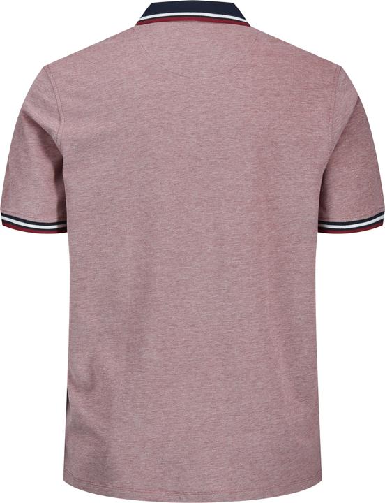 Produktbild Jack & Jones Klassisches Plus Size Poloshirt (XXL)