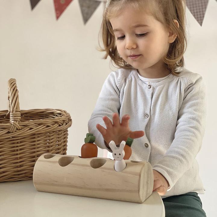 Actual product image Egmont Rabbits and carrots