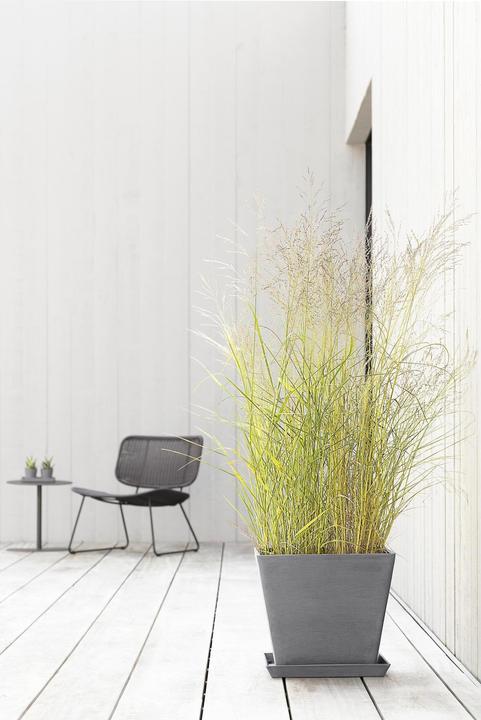 Image du produit Ecopots Rotterdam (40 cm)