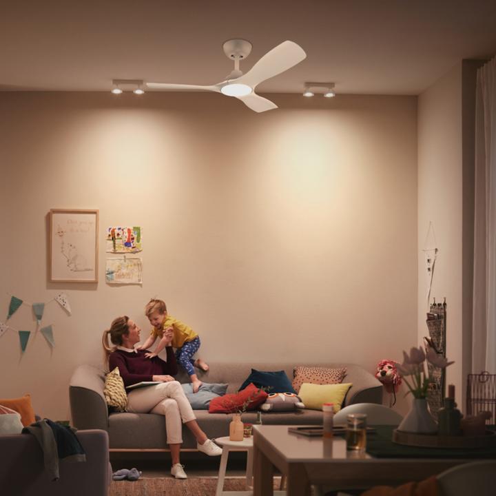 Actual product image Philips Fan Ceiling Light 35(Fan)+24(Light)W