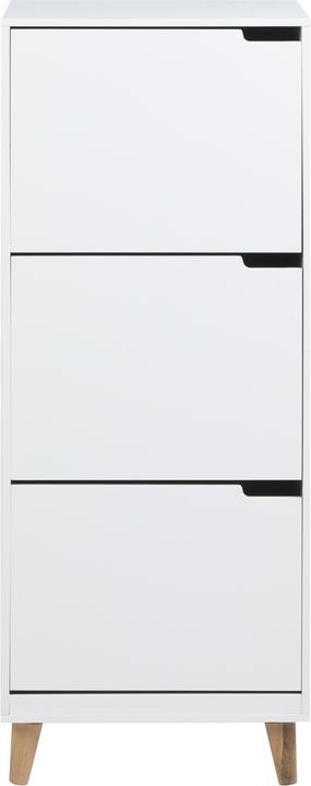 AC Design Hunter (47 x 30 x 133.5 cm)
