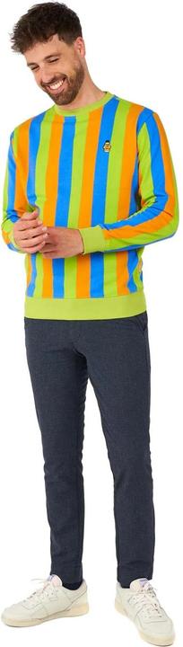 Produktbild OppoSuits – Sesamstrasse Bert Pullover (XXL)