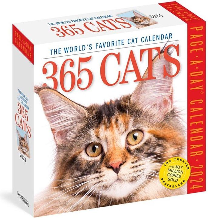 Actual product image 365 Cats Page-A-Day Calendar 2024 (14 x 14 cm, English)