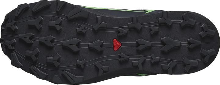 Image du produit Salomon Thundercross GTX (46)